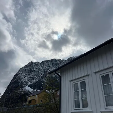 Reine Harbour Lejlighed